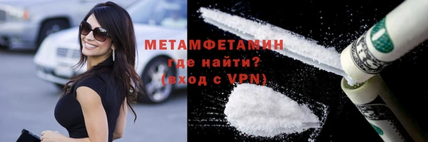 прущие грибы Аркадак