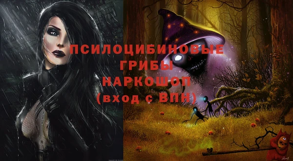 ГАЛЛЮЦИНОГЕННЫЕ ГРИБЫ Саяногорск