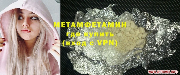 прущие грибы Аркадак