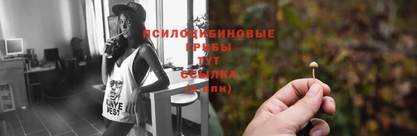 ГАЛЛЮЦИНОГЕННЫЕ ГРИБЫ Армянск