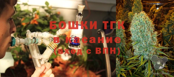 прущие грибы Аркадак