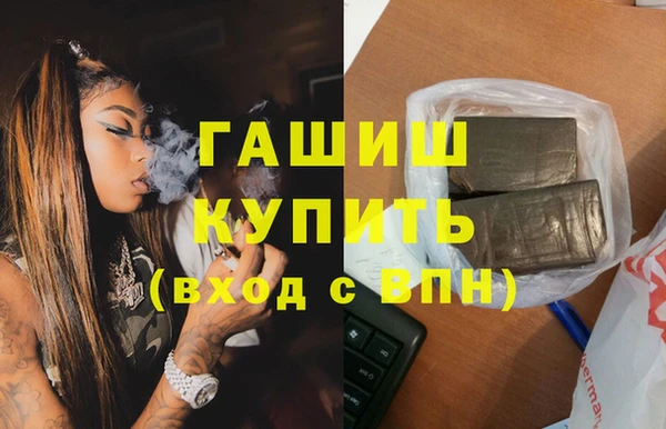 прущие грибы Аркадак