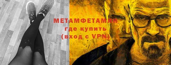 прущие грибы Аркадак