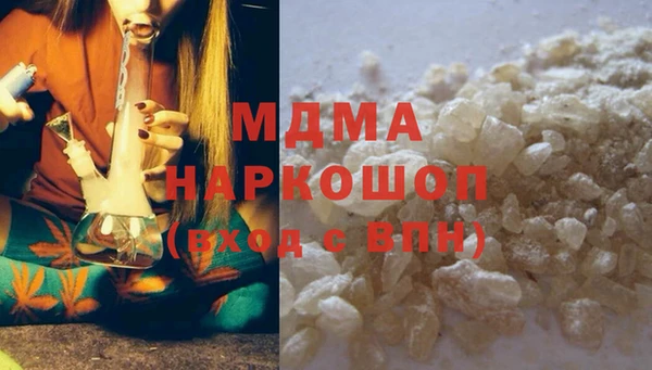 прущие грибы Аркадак