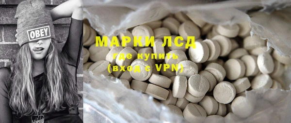 прущие грибы Аркадак