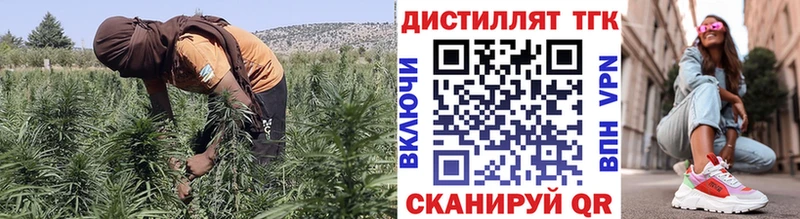 Дистиллят ТГК THC oil  Магадан 
